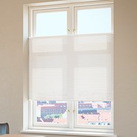Pleated blinds